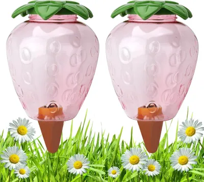 Produktbild von Set mit 2 großen Bewässerungskugeln, 500 ml, Bewässerungssystem für Topfpflanzen, Wasserreservoir, Wasserspender, Gartendekoration (Erdbeere)