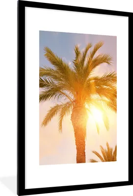 Produktbild von MuchoWow® Gerahmtes Poster Palme - Sommer - Sonne - Tropisch 60x90 cm - Poster mit Schwarzem Bilderrahmen Wandposter Rahmen Foto Bilder - Dekoration - Wandposter Wohnzimmer - Hochwertig