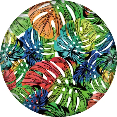 Produktbild von SUNFLEX Sunflex x Waboba Flywaze Pro Leaf neutral -