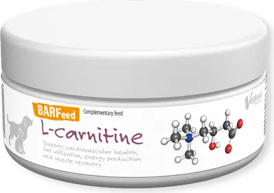 Produktbild von Vetfood BARFeed L- carnitine 100g, Unterstützung des Fettstoffwechsels und der Muskelausdauer bei Hunden, besonders bei aktiven und älteren Tieren