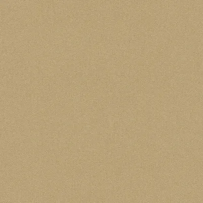 Produktbild von Rasch Vliestapete Welcome Home 441659 Uni Einfarbig Tapete 10.05 x 0.53 m Gold Wohnen Schlafen Flur Eingangsbereich