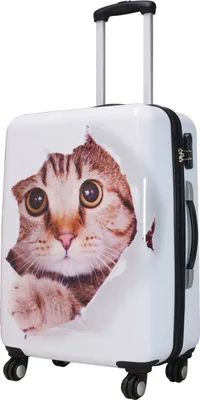 Produktbild von Bowatex Handgepäck Tiermotiv Katze Reisekoffer 35 Li Motivtrolley Koffer 55 cm