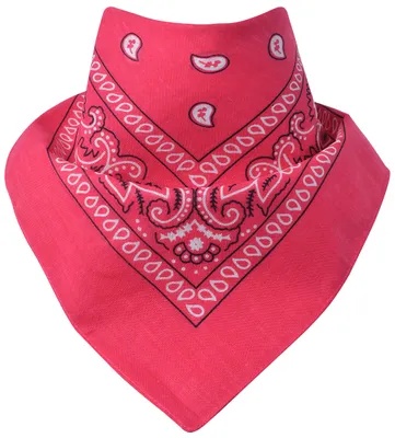 Produktbild von Bandana Paisley Pink