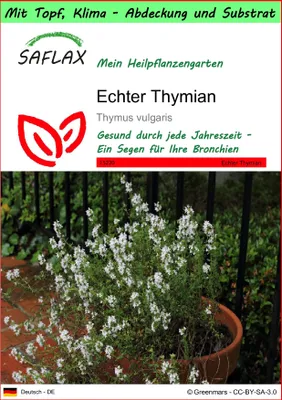Produktbild von SAFLAX Garden to go - Echter Thymian - Thymus vulgaris - 200 Samen - Mit Topf, Klima - Deckel und Anzuchtsubstrat