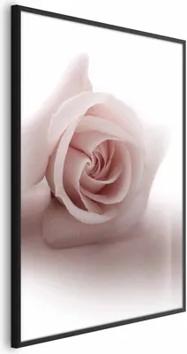 Produktbild von Posterpapier Poster - Rose Shadow 29.7x42 cm Blumen b-C-0402-ao-a