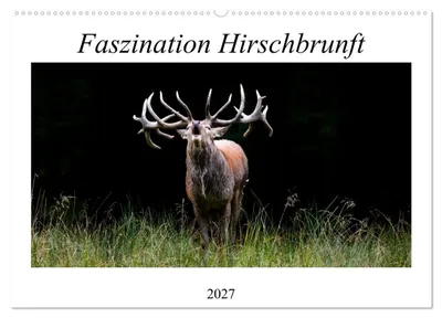 Produktbild von Faszination Hirschbrunft (Wandkalender 2027 DIN A2 quer), CALVENDO Monatskalender