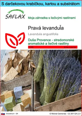Obrázok produktu pre SAFLAX Darčeková sada - pravá levanduľa - Lavandula angustifolia - 150 Semená - S darčekovou krabičkou, prepravným štítkom, darčekovou kartou a pestovateľským médiom