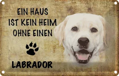 Produktbild von vianmo Blechschild 20x30 cm Labrador Hund ohne kein Heim Tier Haustier