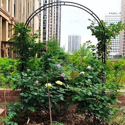 Productafbeelding van Tuinboog Klimplanten - Rozenboog - Decoratie Buiten - Weerbestendig Latwerk - 100 x 220 cm - Zwart