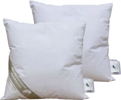 Produktbild von 2 Stück Betten Hofmann  Daunenkissen Kissen 40x40 cm 150 g prall Kuschelkissen 100% Natur