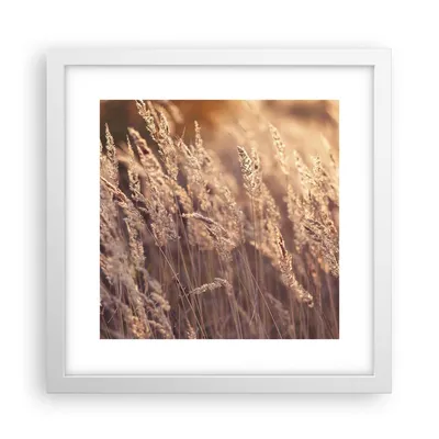 Produktbild von Gerahmtes Poster - Weißer Rahmen - Boho Ähren Feld - 30x30 cm - Wand Bild - Wanddeko - Wandbilder - Kunstposter - Wandposter - Bilderrahmen - Bilder - Kunstdruck - Wanddekoration - P2WAC30x30-4838