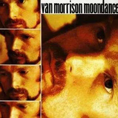 Immagine prodotto di Moondance