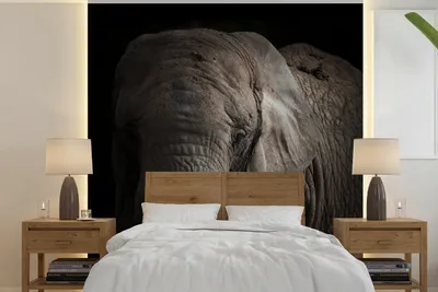 Produktbild von MuchoWow® Fototapete für Wohnzimmer oder Schlafzimmer Wandtapete Vinyl Motivtapete Porträt eines Elefanten vor einem dunklen Hintergrund - 280x280 cm - Hintergrundbild