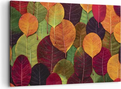 Produktbild von Bild auf Leinwand - Leinwandbild - Einteilig - Herbst Blätter Grafiken - 100x70cm - Wand Bild - Wanddeko - Wandbilder - Leinwanddruck - Bilder - Wanddekoration - Leinwand bilder - AA100x70-4635
