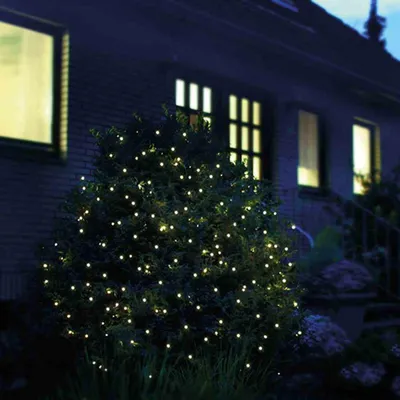 A bush decorated with small, warm white LED lights at night, with a house in the background.