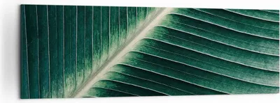 Produktbild von Bild auf Leinwand - Leinwandbild - Einteilig - Grün Blatt Tropisch - 160x50cm - Wand Bild - Wanddeko - Wandbilder - Leinwanddruck - Bilder - Wanddekoration - Leinwand bilder - Wandbild - AB160x50-4126