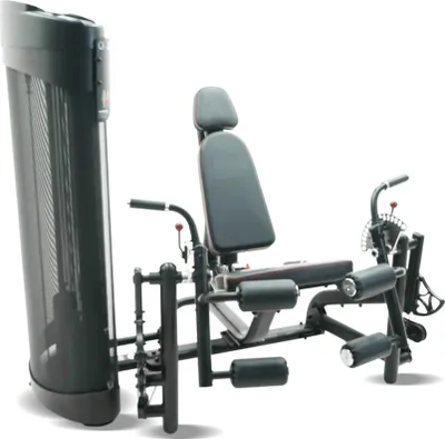 Image de Inspire Extension de jambe assise + flexion des jambes DUAL Station