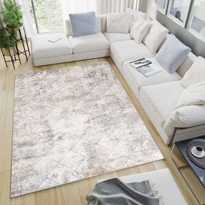 Koberec Obývacia izba Spálňa Krátky vlas Moderný dizajn Svetlo sivá béžová  efekt Roztavený Rozmazaný 300 x 400 cm