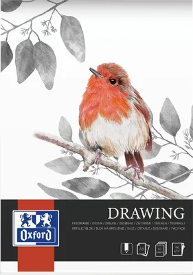 Immagine prodotto di Blocco da disegno, formato A3, 40 fogli, grammatura 160 g