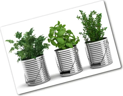 Produktbild von Tulup Glas Herdabdeckplatte - 80x52 cm - Glaskeramikkochfeld-Abdeckung Spritzschutz Glasabdeckplatte - Einteilig - Essen & Getränke - Aromatische Pflanzen - Grün