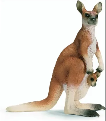 Obrázek produktu pro Schleich 14603 Klokan