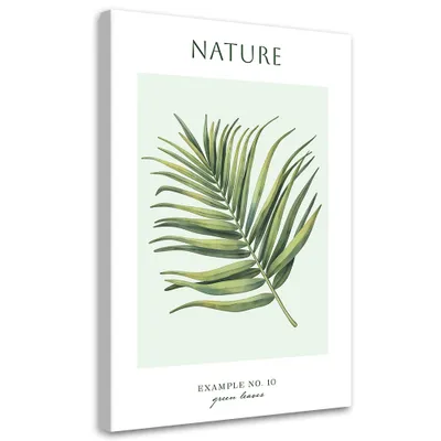 Produktbild von Leinwandbild Grüne Blätter – Natur 60x90 Feeby Grün bild für die wand bereit zum aufhängen