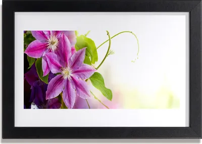 Produktbild von Bild 30x20 MDF-Rahmen Wandkunst Blumen Natur Natur