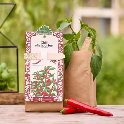 Image de Kit de culture « Mini-jardin» - Piment - Kit complet comprenant des graines du
