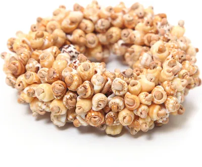 Produktbild von Armband Aurelia elastisch mit Muscheln von collezione alessandro
