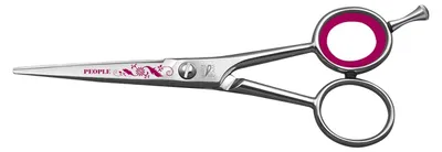 Image de Ciseaux de coiffure professionnels, 6,5 pouces
