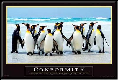 Image de Motivational - Poster - Conformity + cadre interchangeable, Shinsuke® Maxi MDF noir, vitre acrylique