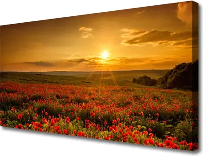 Produktbild von Tulup Leinwand-Bilder 100x50 Wandbild Canvas Kunstdruck See Wiese Blumen Natur