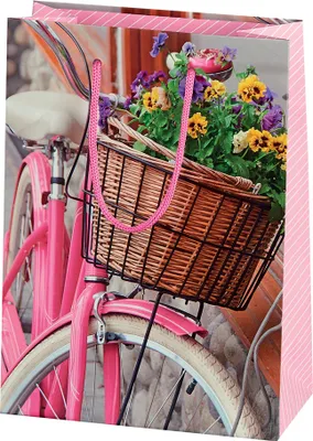Produktbild von SUSY CARD Geschenktüte "Bicycle"