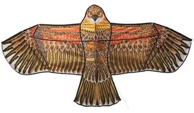 Image de Effaroucheur Rapace Volant - 0,165 kg - Répulsif Efficace pour Oiseaux - D-Work