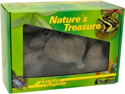 Image de Lucky Reptile Trésor de la nature