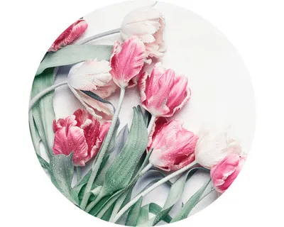 Produktbild von Glasbild Tulpen GLR063 Ø 20 cm
