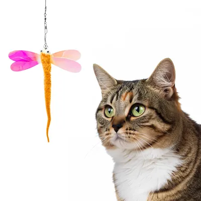 Produktbild von Spielanhänger für Katzenangel · Katzenangel-Aufsatz · Fliegender Wurm · orange