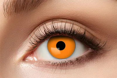 Produktbild von Zoelibat Eyecatcher Wochen-Kontaktlinsen Halloween Orange Wochenlinsen Funlinsen Party Linsen