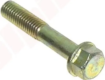 Obrázek produktu pro Šroub Yanmar ( 26106-100302 ) M10 X 55