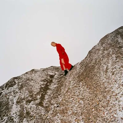 Produktbild von Cate Le Bon: Reward - - (Vinyl / Pop (Vinyl))