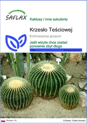 Zdjęcie produktu dla SAFLAX - Krzesło Teściowej - 40 Nasiona - Echinocactus grusonii