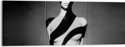 Produktbild von Bild auf Leinwand - Leinwandbild - 3 Teile - Nackt Frau Fotografie - 150x50cm - Wand Bild - Wanddeko - Wandbilder - Leinwanddruck - Bilder - Wanddekoration - Leinwand bilder - Wandbild - CA150x50-4221
