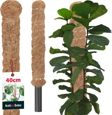 Zdjęcie produktu dla KOTARBAU® Tyczka z mchu do Monstera Coconut Natural ? 2,5 x 40 cm Tyczka do roslin Podpora do roslin Monstera Tyczka kokosowa Tyczka do roslin Tyczka z mchu Podpora do roslin Monstera Tyczka do kwiatów Tyczka z mchu
