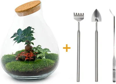 Zdjęcie produktu dla Terrarium do samodzielnego montażu - Drop Xl Bonsai -↕ 37 Cm