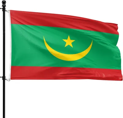 Immagine prodotto di Bandiera della Mauritania, 90 x 150 cm, in poliestere, adatta per l'asta