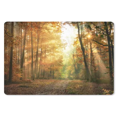 Produktbild von MuchoWow® Mauspad Mousepad Wald - Herbst - Sonne - Landschaft - Natur - Bäume - Laub 27x18 cm - Mousepads - Maus Mat - Pad - Mausunterlage - Büroartikel - Desk Matten