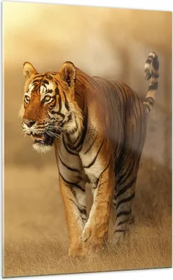 Produktbild von Bilder auf glas - Einteilig - tiger tier - 70x100cm - Glasbilder - Wandbilder - Bilder - Kunstdruck - zum Aufhängen bereit - Wanddekoration aus Glas - Glas Bilder - Wandbild auf Glas - GPA70x100-3946