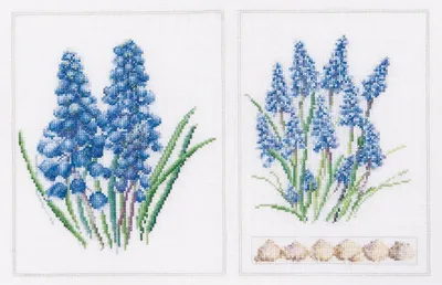 Obrázok produktu pre Súprava krížikového vyšívania Thea Governor "Muscari panel counted fab