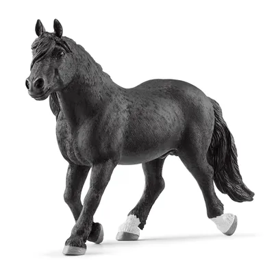 Immagine prodotto di Sch-Fw Noriker stallone 13958