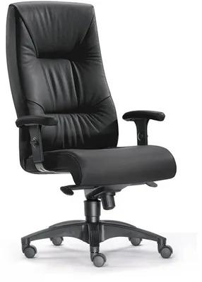 Produktbild von Bandscheiben-Bürosessel Turbo bis 150 kg schwarz mit Armlehnen